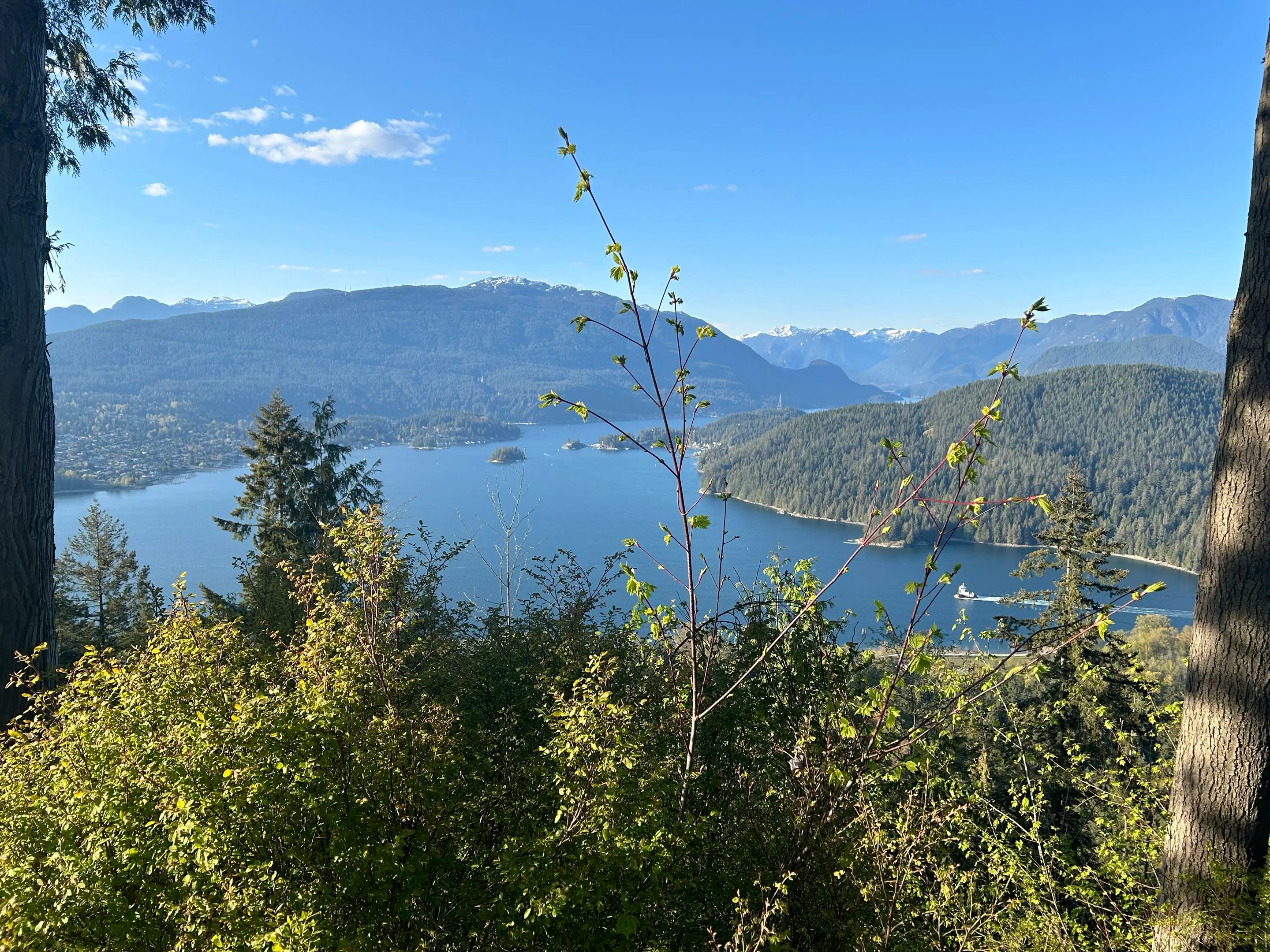 View over Burrard Inlet and the North Shore mountains through the trees