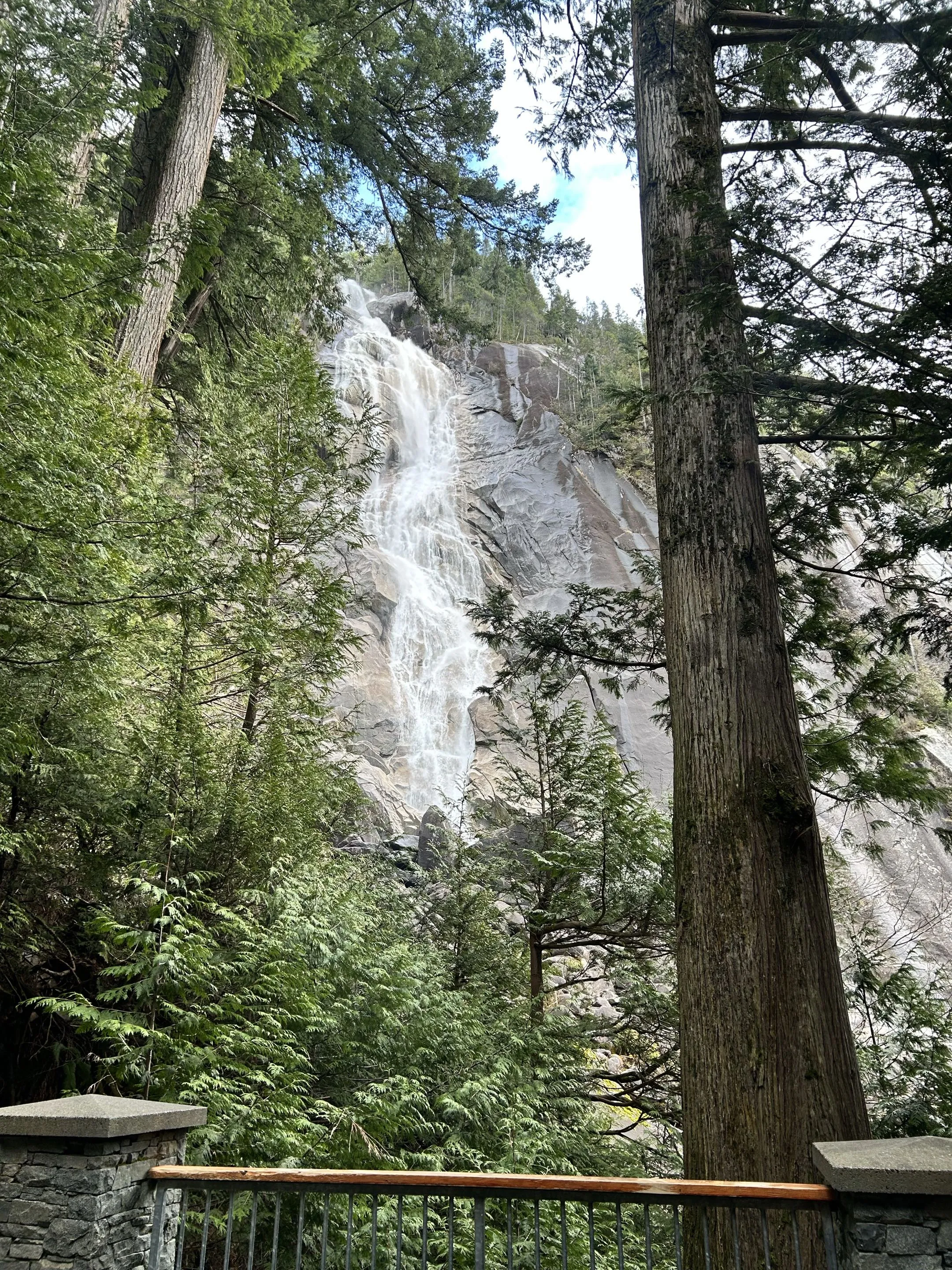 Shannon Falls dropping down a granite cliff behind tall cedar trees